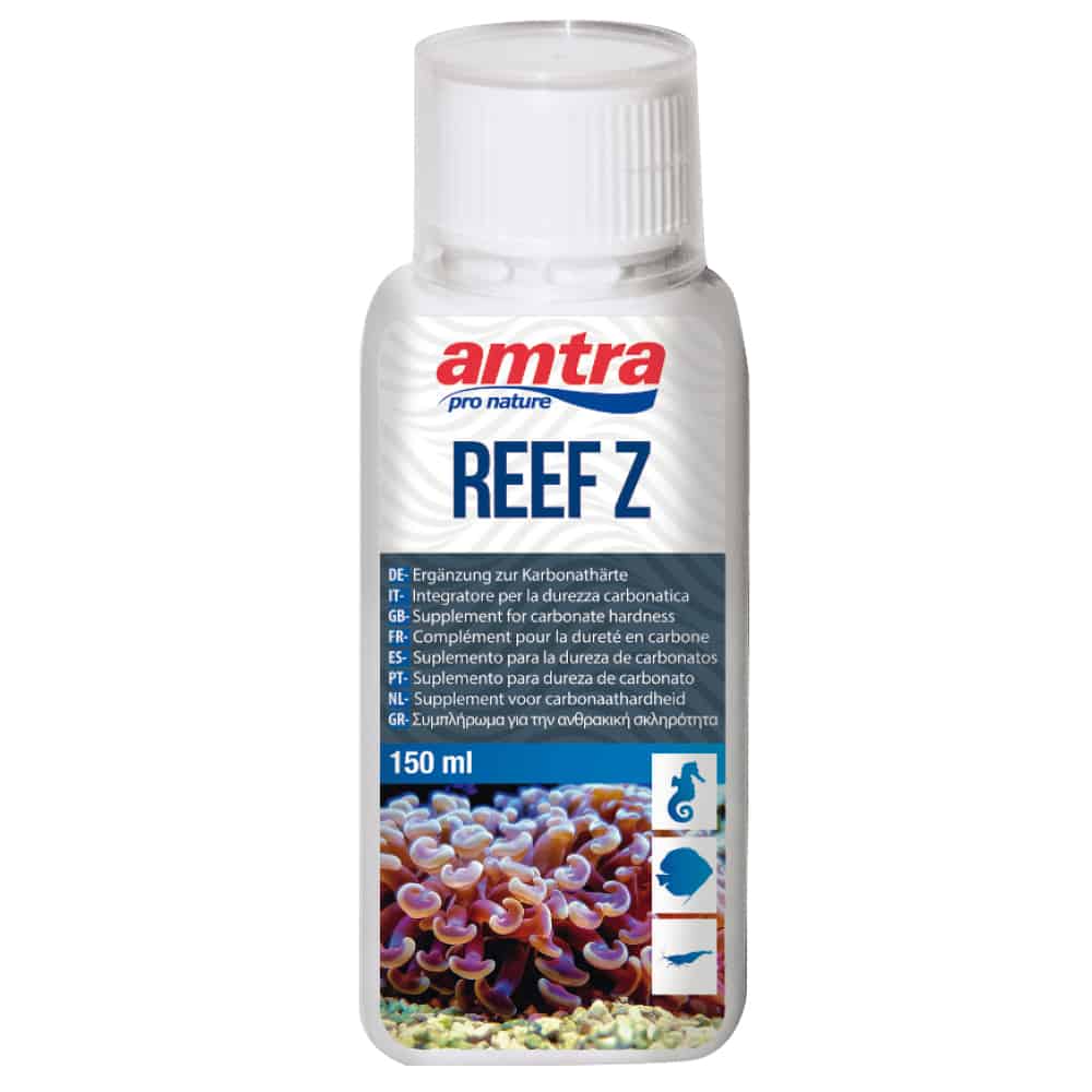 AMTRA REEF Z
